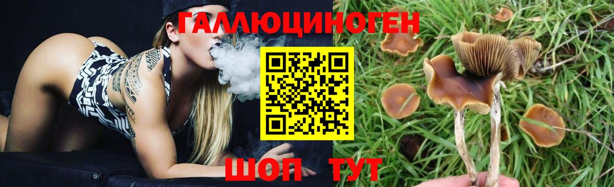 Галлюциногенные грибы MAGIC MUSHROOMS Елабуга